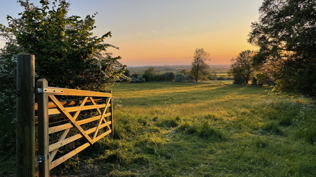 Open gate leading to a field surrounded by trees
