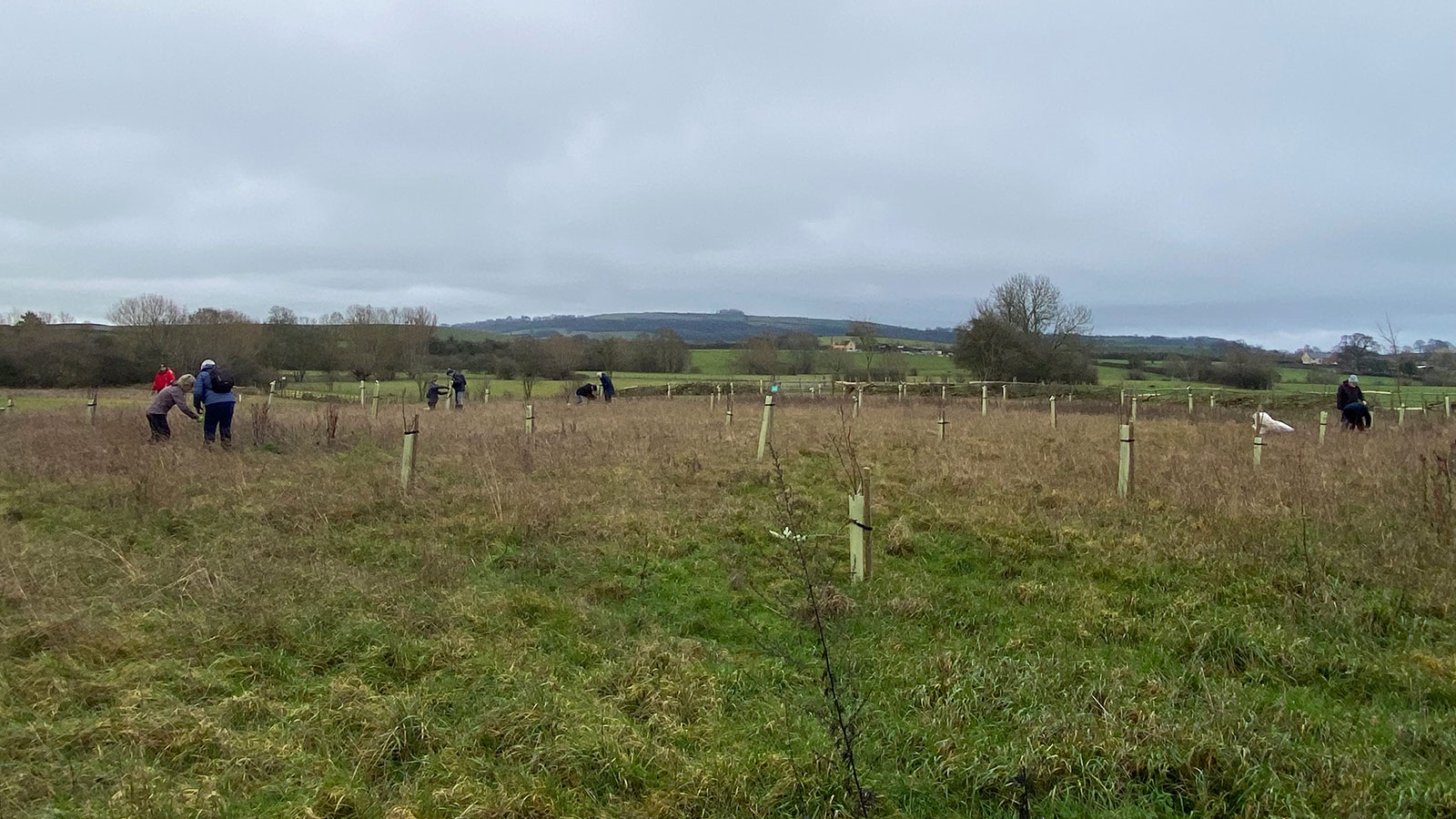 Community orchard pruning day at Cornmill Meadows, Shipston-on Stour