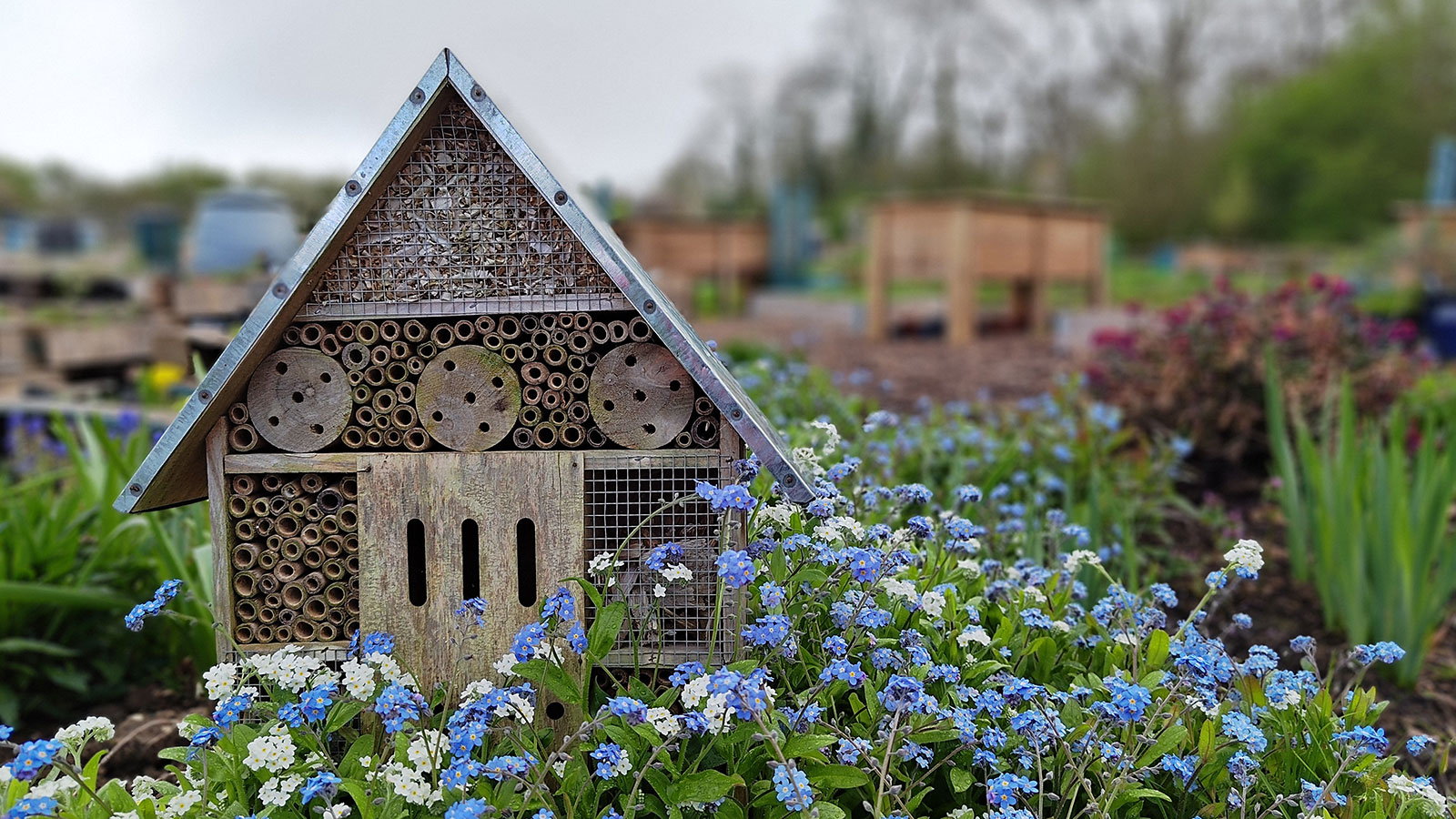 header Upper Lighthorne