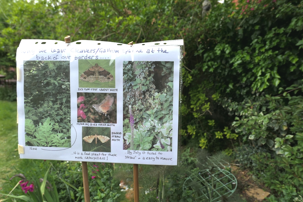 Notice in one of our gardens